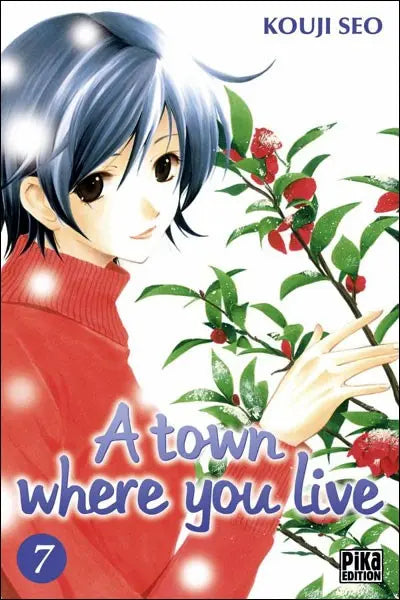 A town where you live 7