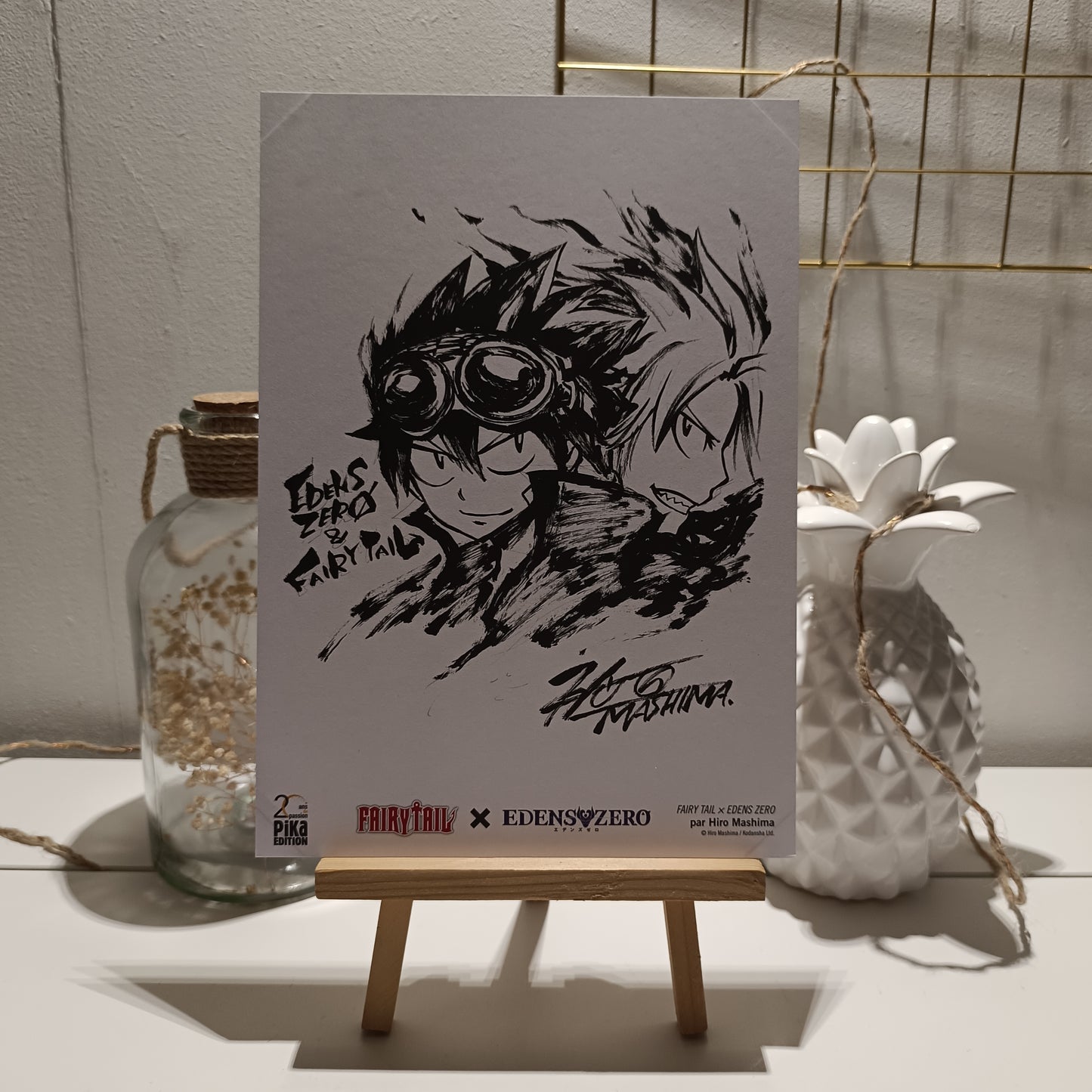 Ex-libris manga Fairy tail X Edens zero 20 ans Pika