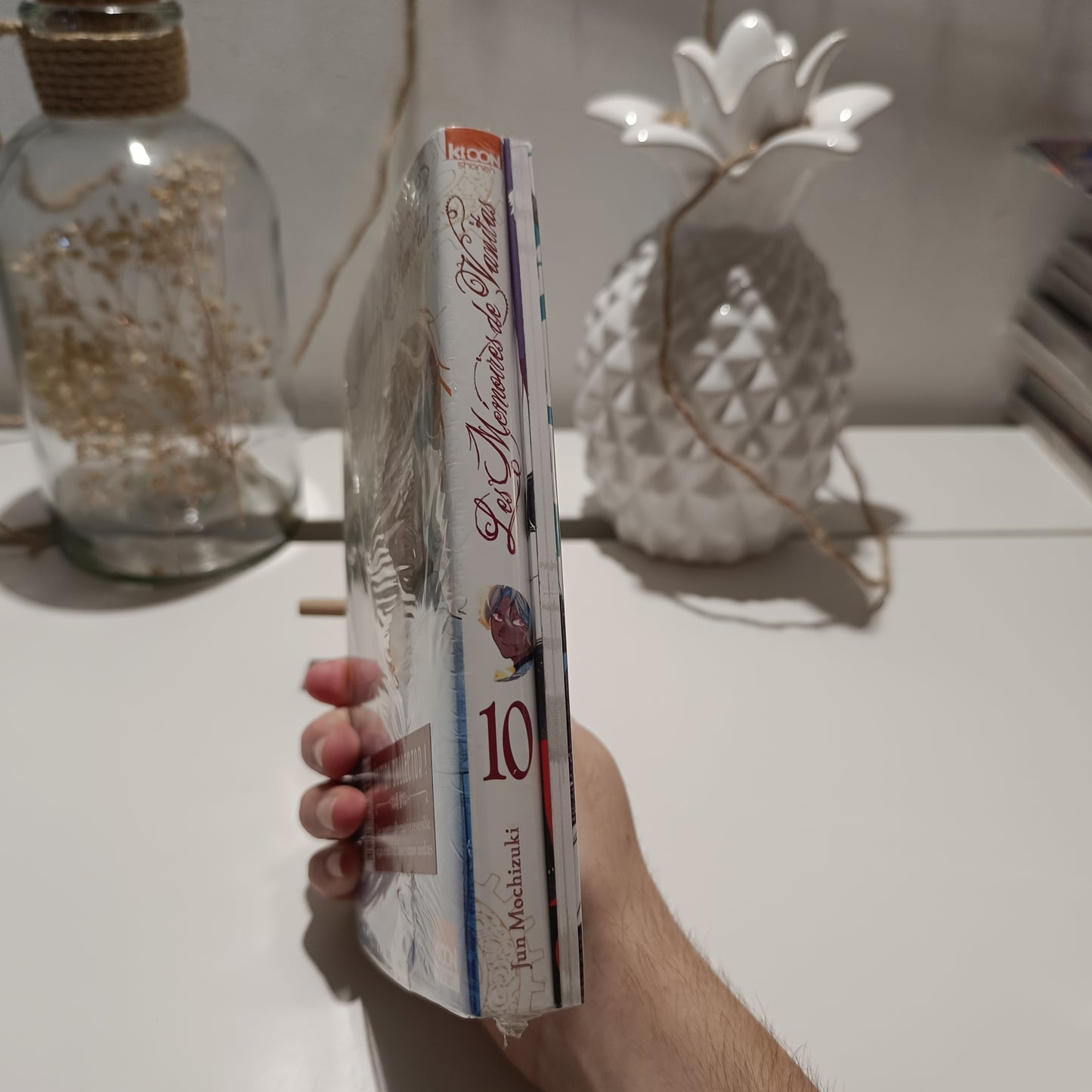 Manga - Les mémoires de vanitas - Tome 10 Collector