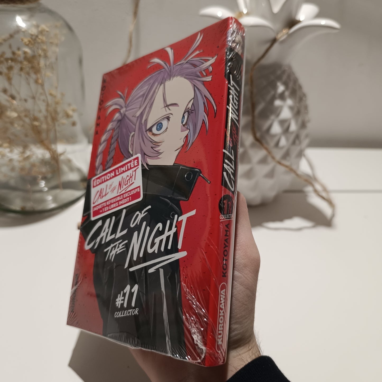 Manga - Call of the night - Tome 11 Collector