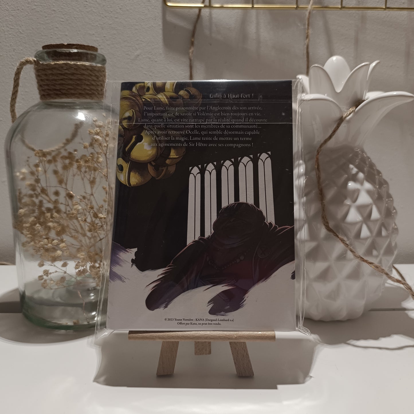 Manga - Silence - Tome 4 Collector