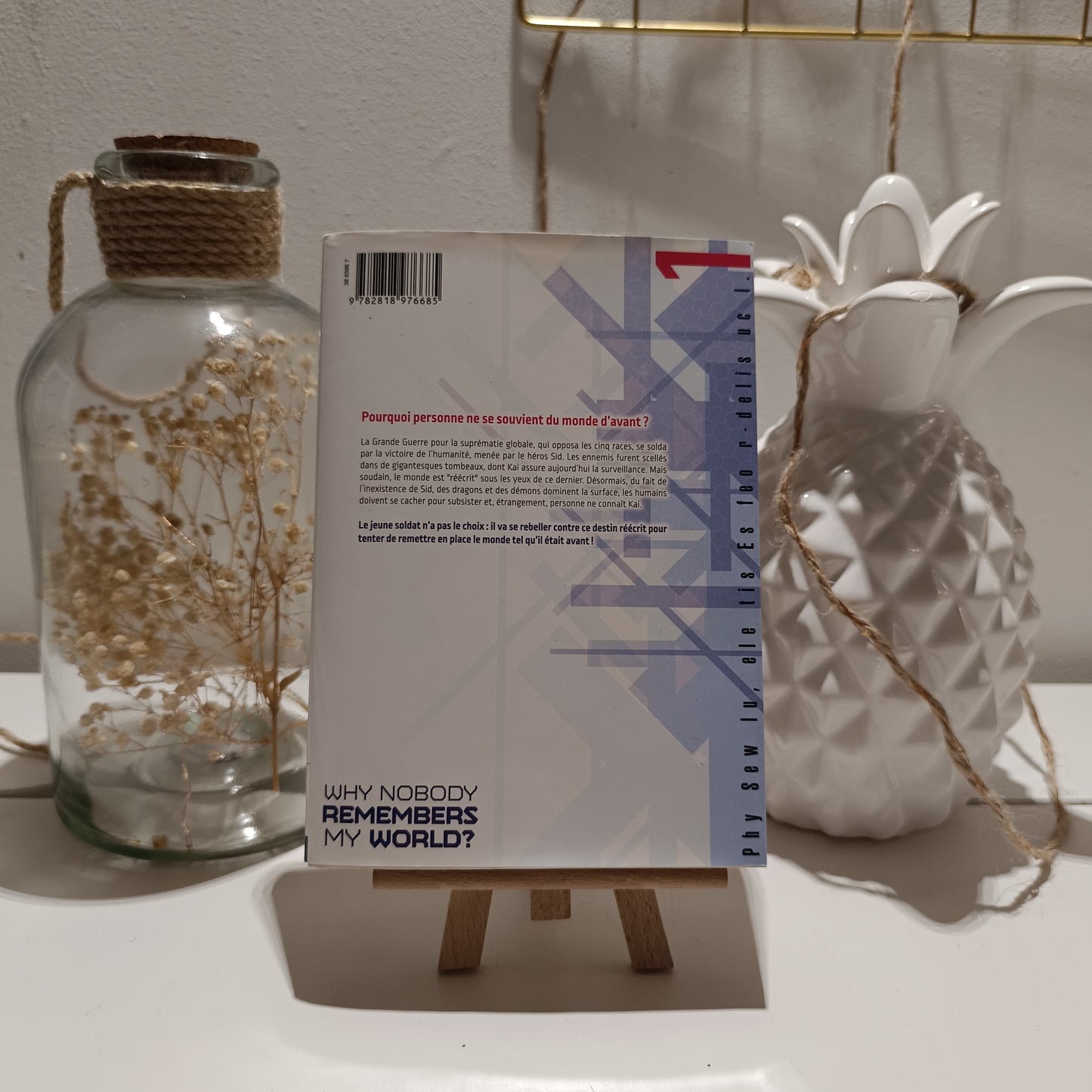 Manga why nobody remembers my World tome 1