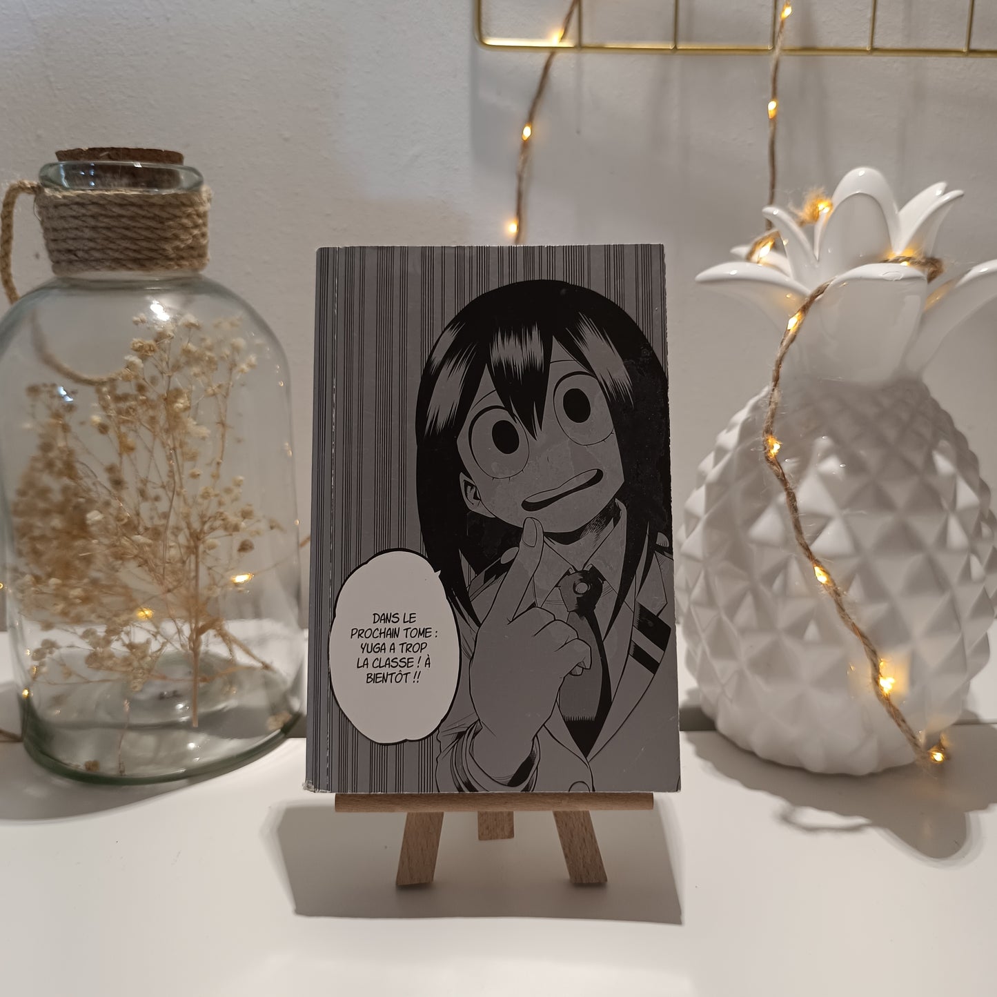 Manga my héro Academia tome 9