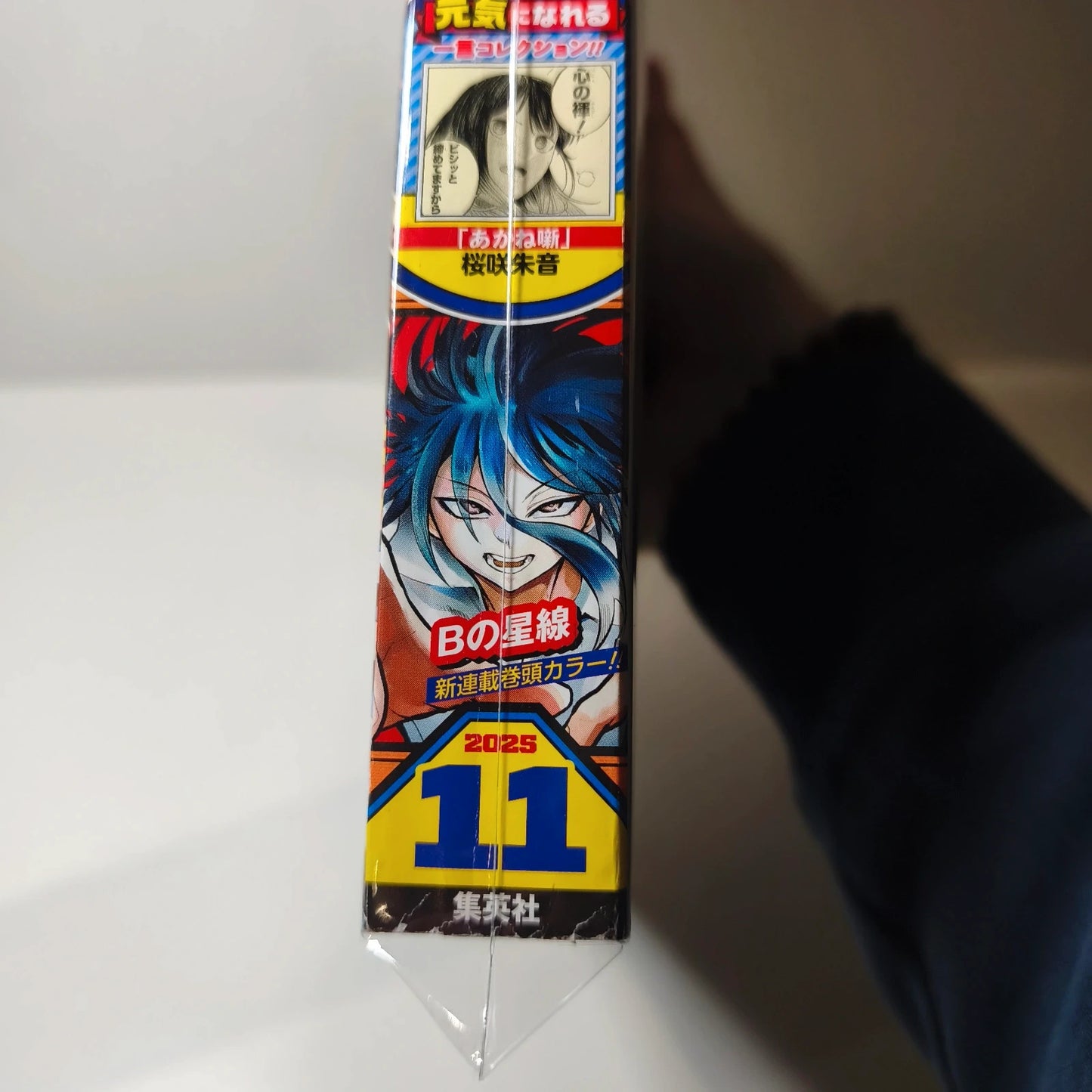 Weekly shonen jump  B no Seisen 11/2025