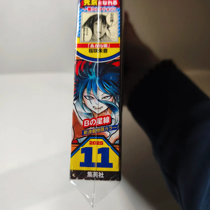 Weekly shonen jump  B no Seisen 11/2025