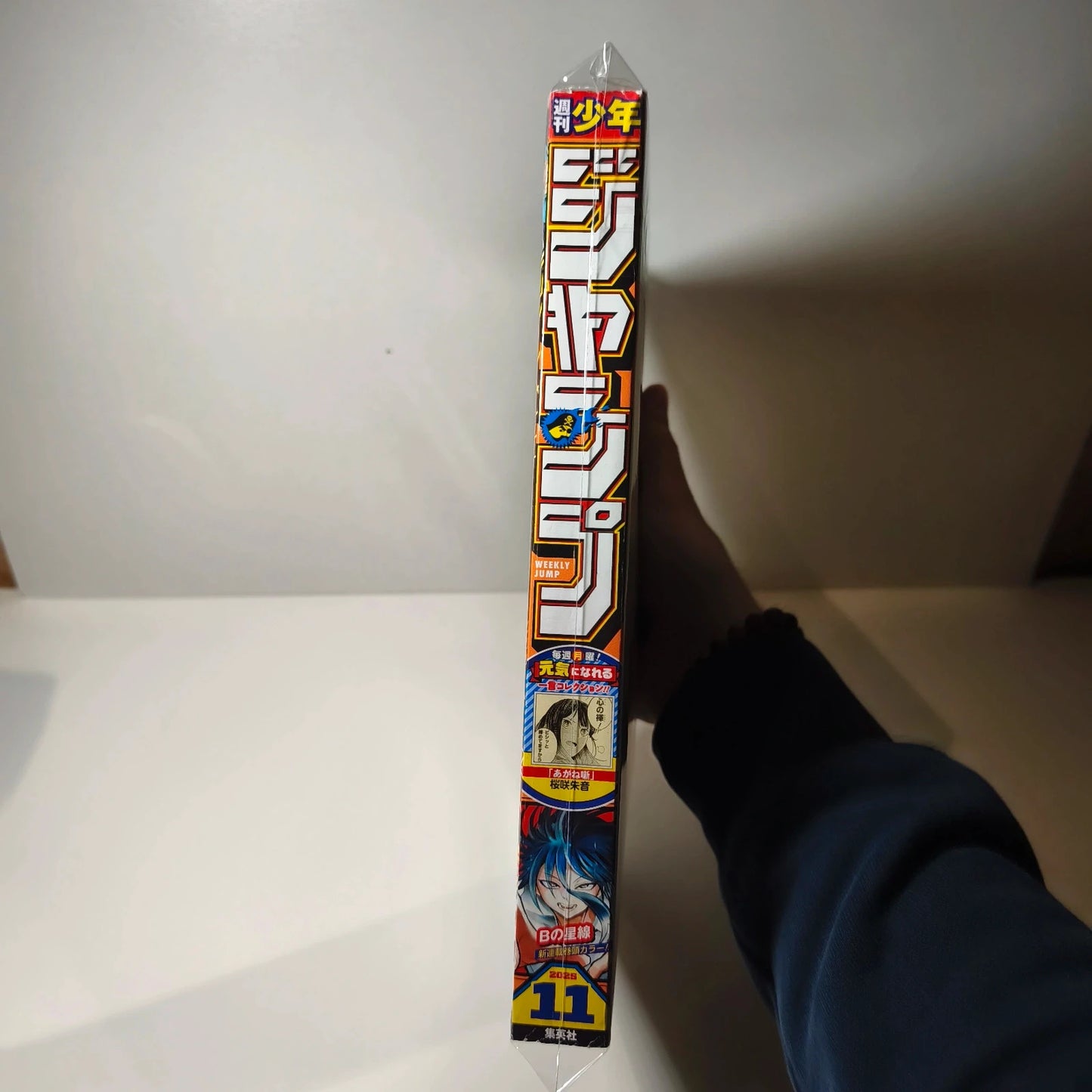 Weekly shonen jump  B no Seisen 11/2025