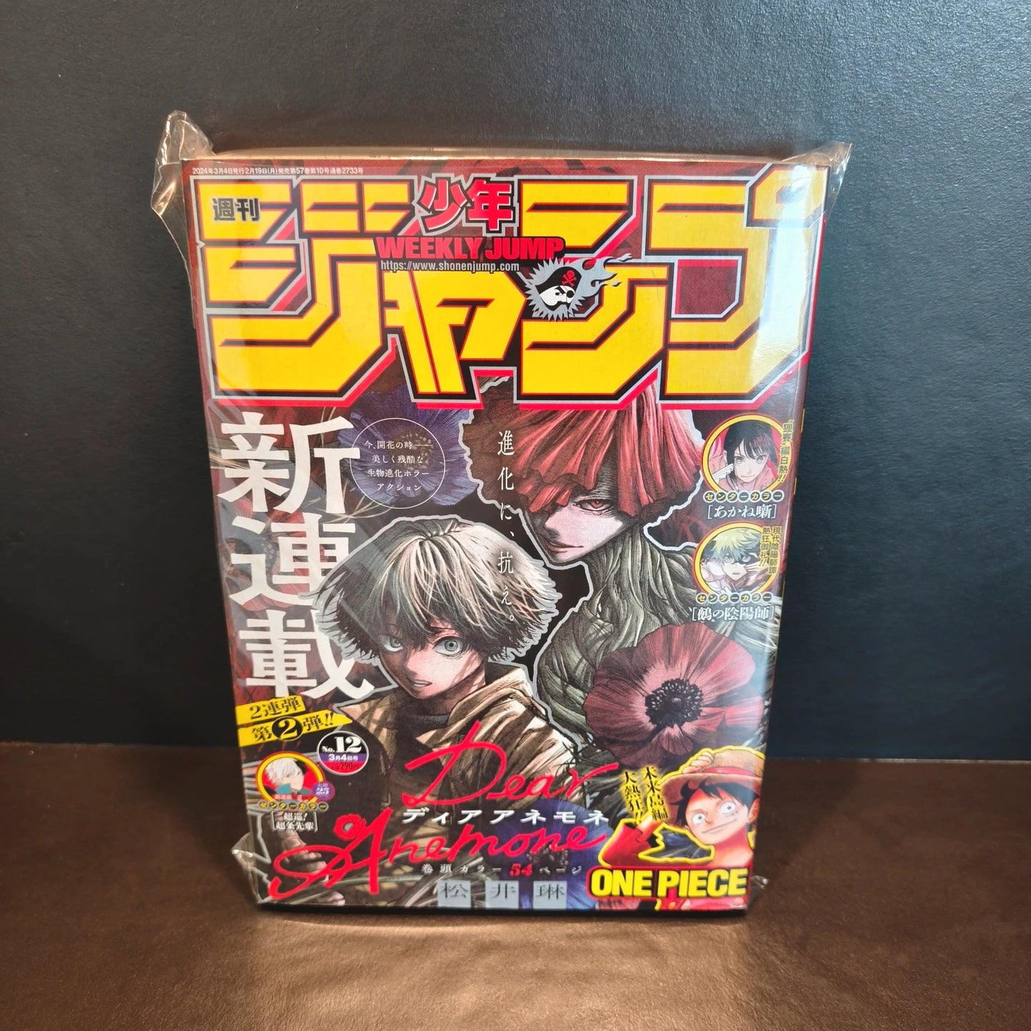 Weekly shonen jump Dear Anemone 12/2024