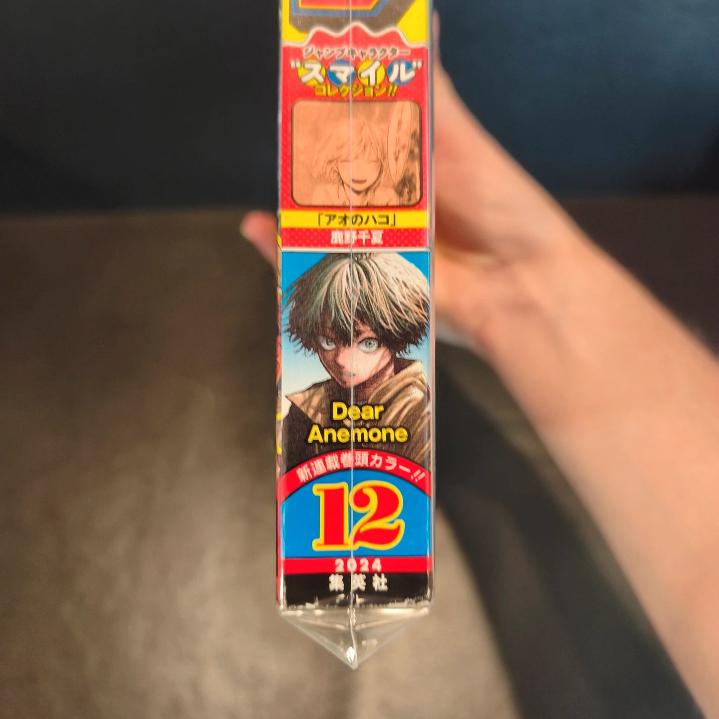 Weekly shonen jump Dear Anemone 12/2024