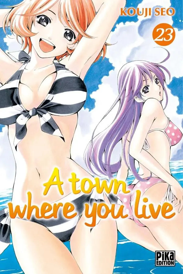A town where you live 23