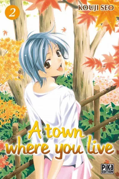 A town where you live 2