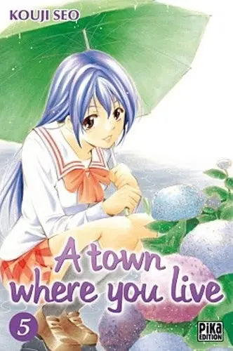 A town where you live 5