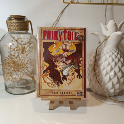 Manga - Fairy tail - Tome 19 Coffret Collector