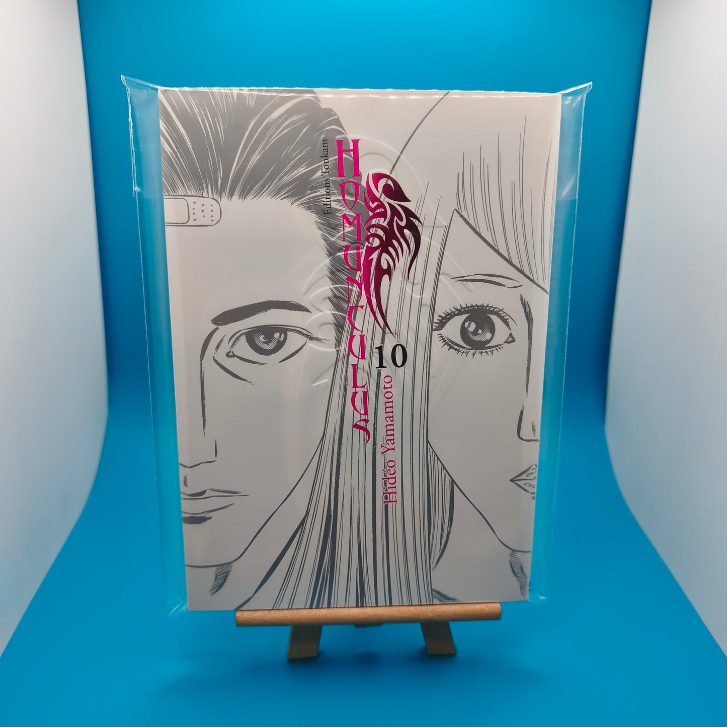 Manga - Homunculus - Tome 10