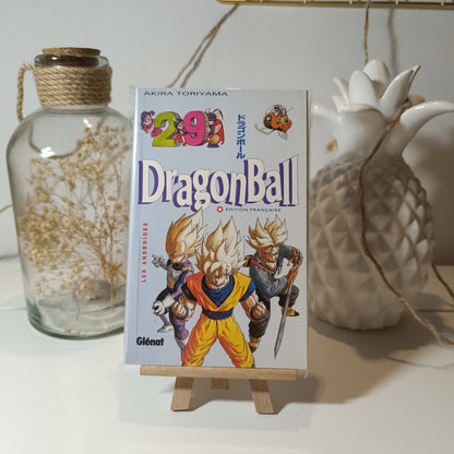 Manga - Dragon ball pastel - Tome 29