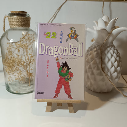 Manga - Dragon ball pastel - Tome 22