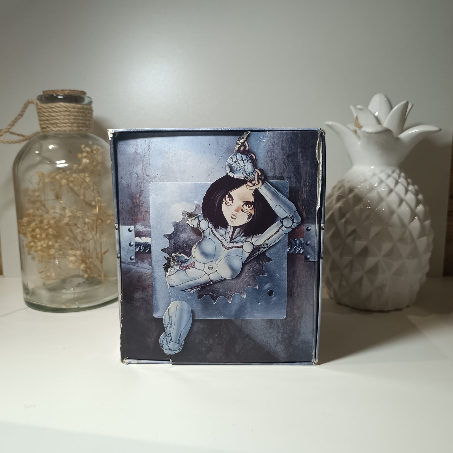 Manga - Gunnm - Coffret intégrale