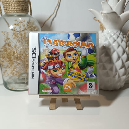 DS - Jeu - Playground