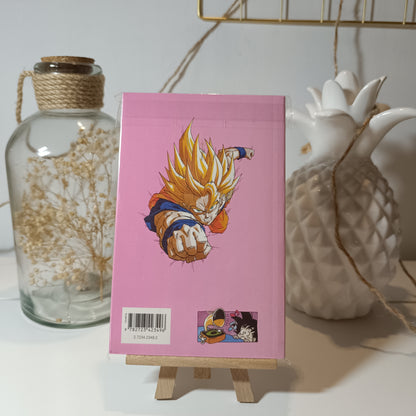 Manga - Dragon ball pastel - Tome 31