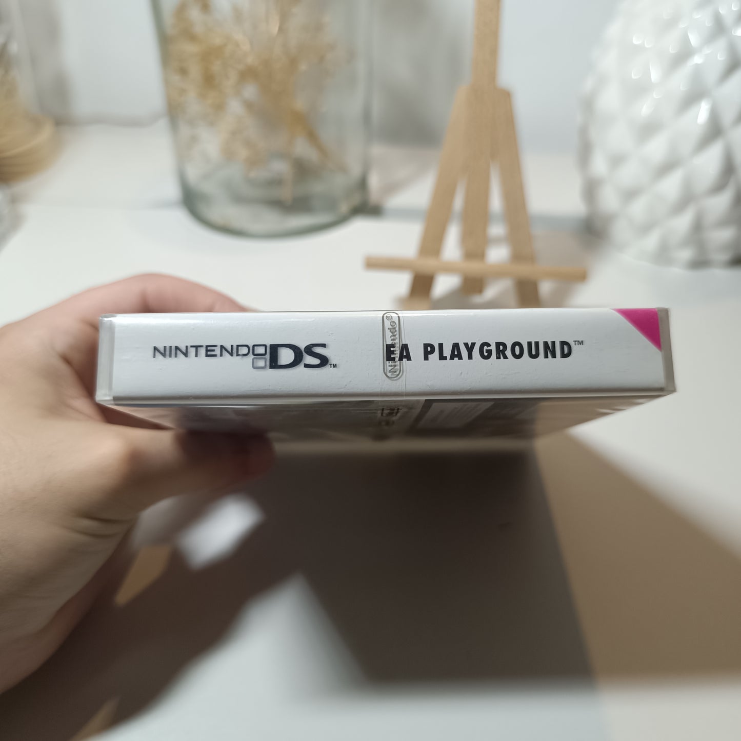 DS - Jeu - Playground