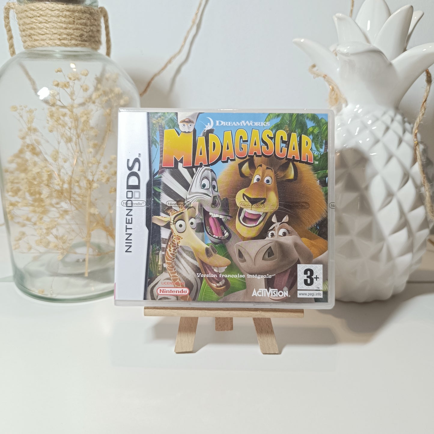 DS - Jeu - Madagascar