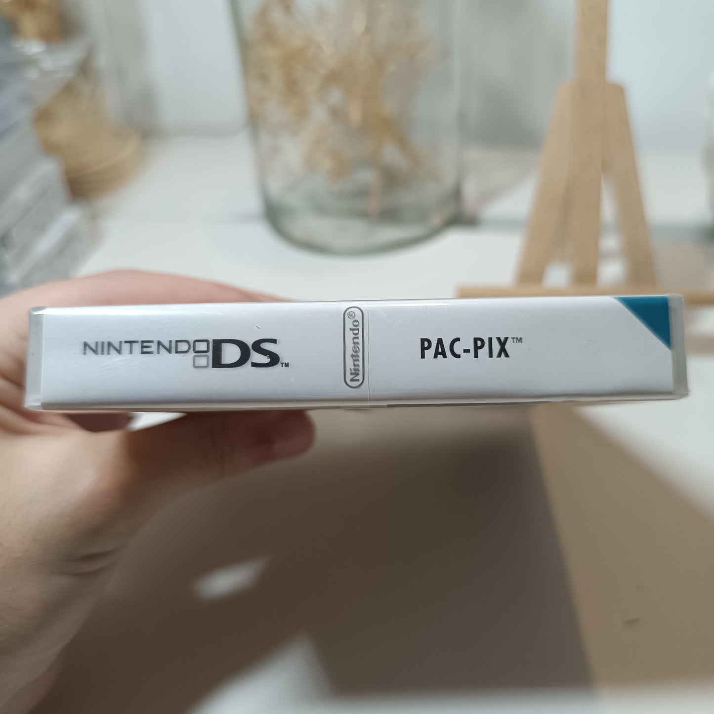 DS - Jeu - Pac-Pix