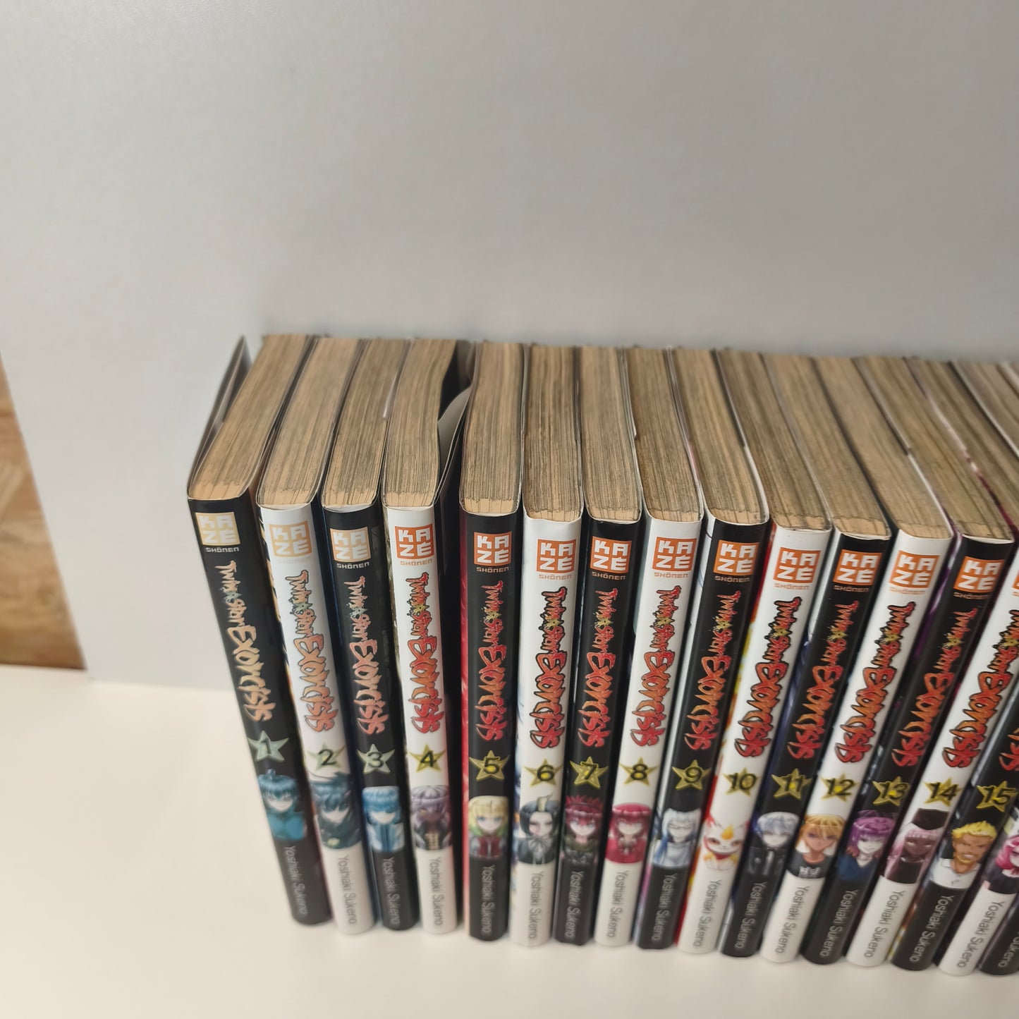 Manga Twin stars exorcist - Tomes 1 à 22