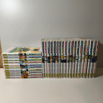 Manga - Hunter x hunter - Tomes 1 à 29
